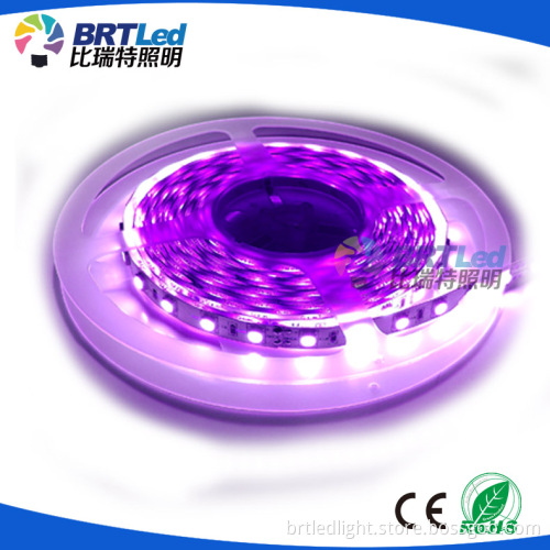 high lumens output led strip light 24v led strip